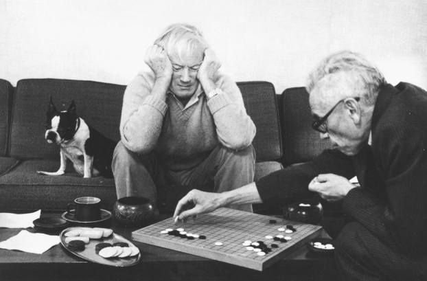 下围棋,围棋爱好者,围棋俱乐部