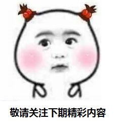 芮乃伟,江铸久,女棋手,围棋